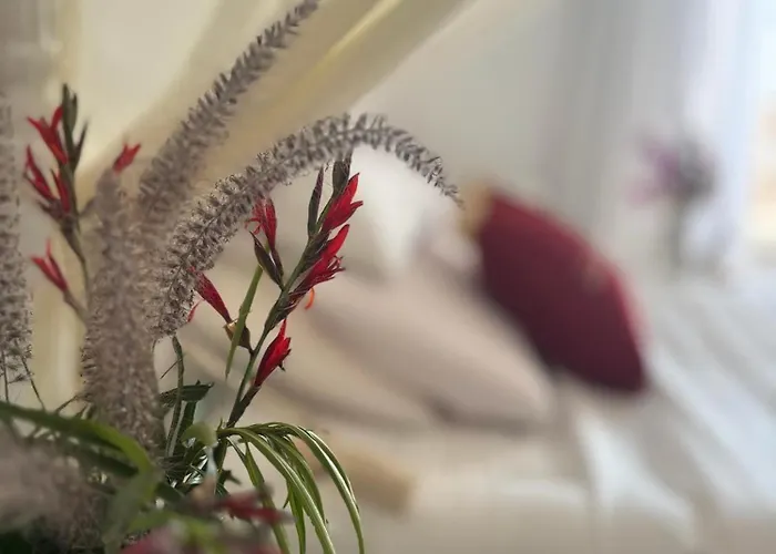 Apartman Elisir Egitto Domina Coral Bay Sarm es-Sejk